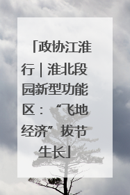 政协江淮行｜淮北段园新型功能区：“飞地经济”拔节生长