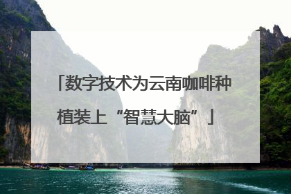 数字技术为云南咖啡种植装上“智慧大脑”