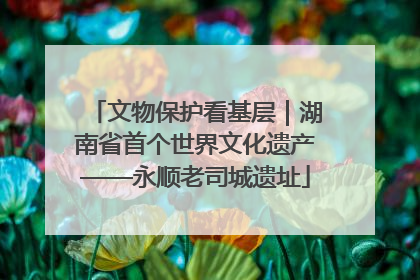 文物保护看基层｜湖南省首个世界文化遗产——永顺老司城遗址