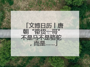 文博日历丨唐朝“带货一哥”不是马不是骆驼，而是……