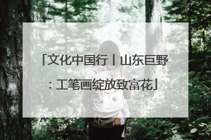 文化中国行丨山东巨野：工笔画绽放致富花