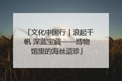 文化中国行｜浪起千帆 深蓝宝藏——博物馆里的海丝遗珍