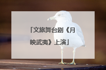 文旅舞台剧《月映武夷》上演