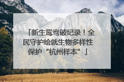 新生鸳鸯破纪录！全民守护绘就生物多样性保护“杭州样本”