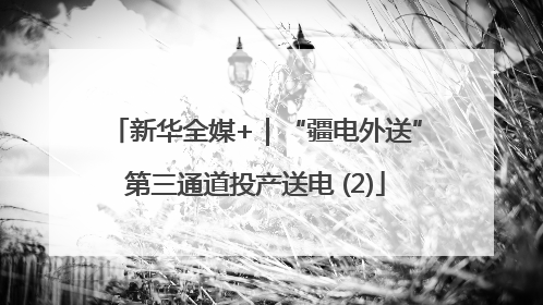 新华全媒+｜“疆电外送”第三通道投产送电 (2)