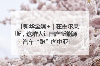新华全媒+｜在霍尔果斯，这群人让国产新能源汽车“跑”向中亚