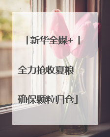 新华全媒+丨全力抢收夏粮 确保颗粒归仓