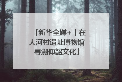 新华全媒+丨在大河村遗址博物馆寻溯仰韶文化