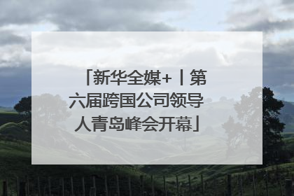 新华全媒+丨第六届跨国公司领导人青岛峰会开幕