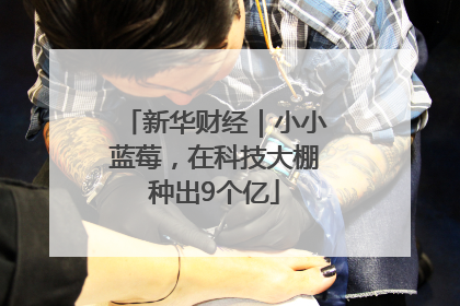 新华财经｜小小蓝莓，在科技大棚种出9个亿