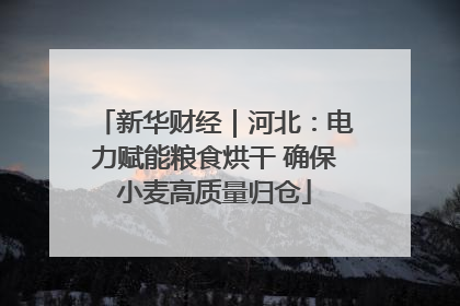 新华财经｜河北：电力赋能粮食烘干 确保小麦高质量归仓