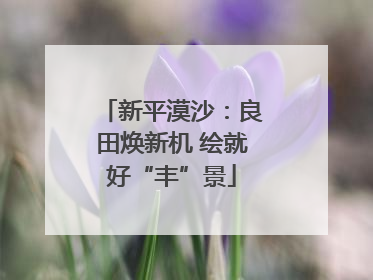 新平漠沙：良田焕新机 绘就好“丰”景