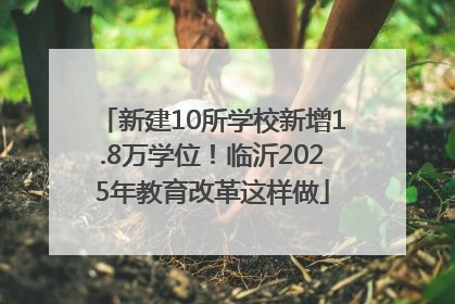 新建10所学校新增1.8万学位！临沂2025年教育改革这样做