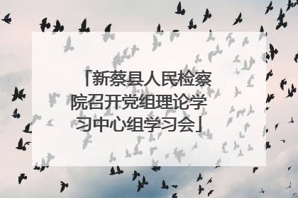 新蔡县人民检察院召开党组理论学习中心组学习会