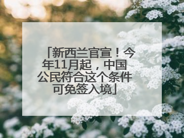 新西兰官宣！今年11月起，中国公民符合这个条件可免签入境