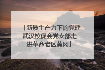 新质生产力下的党建 武汉校促会党支部走进革命老区黄冈