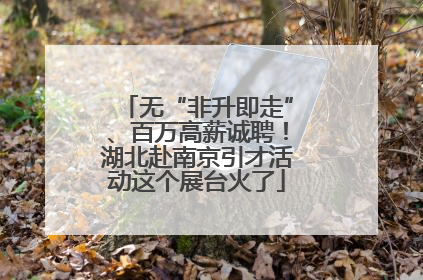 无“非升即走”、百万高薪诚聘！湖北赴南京引才活动这个展台火了