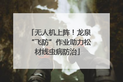 无人机上阵！龙泉“飞防”作业助力松材线虫病防治