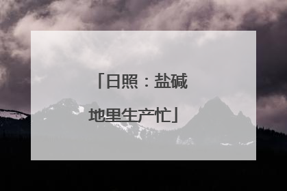 日照：盐碱地里生产忙