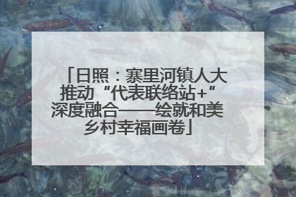 日照：寨里河镇人大推动“代表联络站+”深度融合——绘就和美乡村幸福画卷