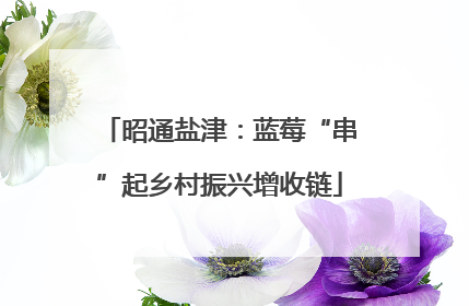 昭通盐津：蓝莓“串”起乡村振兴增收链