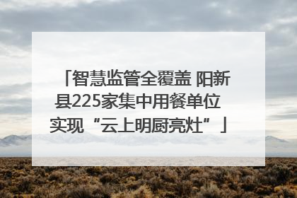 智慧监管全覆盖 阳新县225家集中用餐单位实现“云上明厨亮灶”