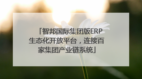 智邦国际集团版ERP生态化开放平台，连接百家集团产业链系统