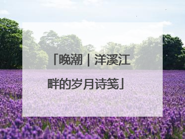 晚潮｜洋溪江畔的岁月诗笺