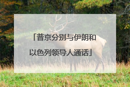 普京分别与伊朗和以色列领导人通话