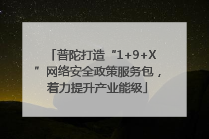 普陀打造“1+9+X”网络安全政策服务包，着力提升产业能级