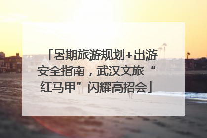 暑期旅游规划+出游安全指南，武汉文旅“红马甲”闪耀高招会