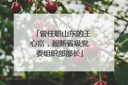 曾任职山东的王心富，履新省级党委组织部部长