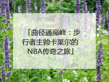 曲径通巅峰：步行者主帅卡莱尔的NBA传奇之旅