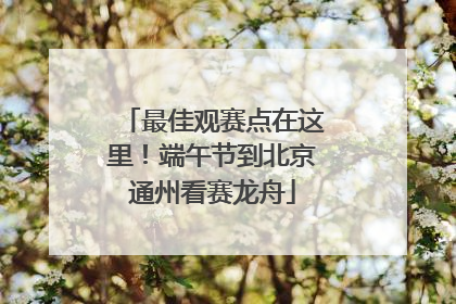 最佳观赛点在这里！端午节到北京通州看赛龙舟
