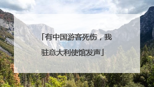 有中国游客死伤，我驻意大利使馆发声