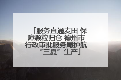 服务直通麦田 保障颗粒归仓 德州市行政审批服务局护航“三夏”生产