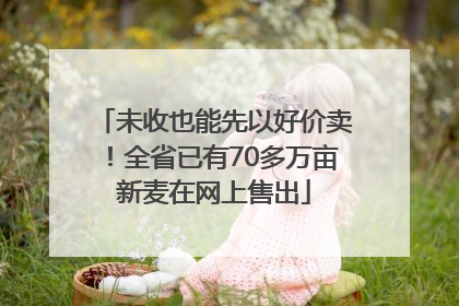 未收也能先以好价卖！全省已有70多万亩新麦在网上售出