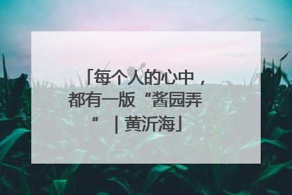 每个人的心中，都有一版“酱园弄”｜黄沂海