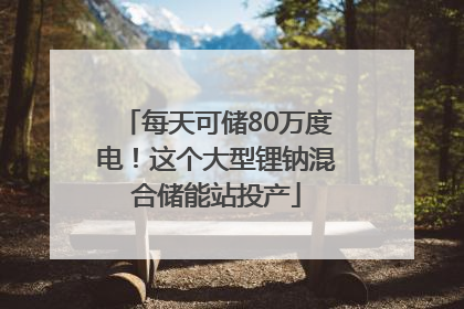每天可储80万度电！这个大型锂钠混合储能站投产