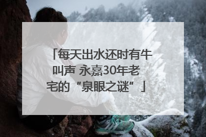 每天出水还时有牛叫声 永嘉30年老宅的“泉眼之谜”