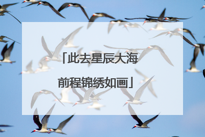 此去星辰大海 前程锦绣如画