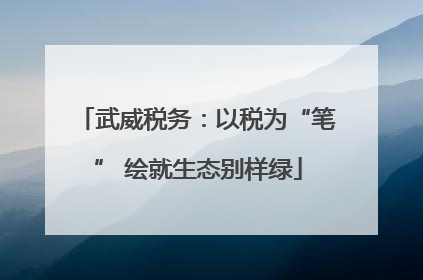 武威税务：以税为“笔” 绘就生态别样绿