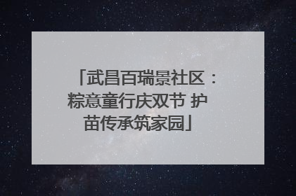武昌百瑞景社区：粽意童行庆双节 护苗传承筑家园