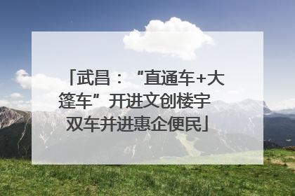武昌：“直通车+大篷车”开进文创楼宇 双车并进惠企便民