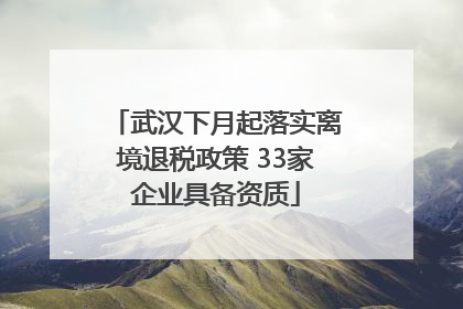 武汉下月起落实离境退税政策 33家企业具备资质