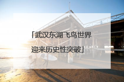 武汉东湖飞鸟世界迎来历史性突破