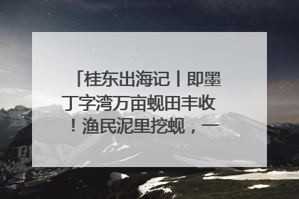 桂东出海记丨即墨丁字湾万亩蚬田丰收！渔民泥里挖蚬，一天上岸过千斤
