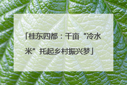 桂东四都：千亩“冷水米”托起乡村振兴梦