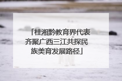 桂湘黔教育界代表齐聚广西三江共探民族美育发展路径