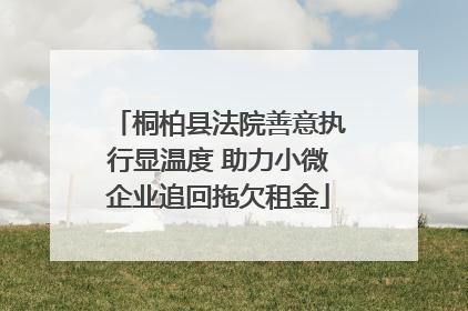 桐柏县法院善意执行显温度 助力小微企业追回拖欠租金